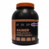 купить Гейнер BioLine Nutrition Rapid Anabolic Wild Forest Berry 3 кг (5789507)